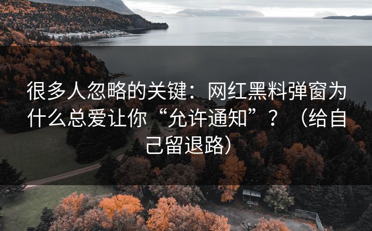 很多人忽略的关键：网红黑料弹窗为什么总爱让你“允许通知”？（给自己留退路）