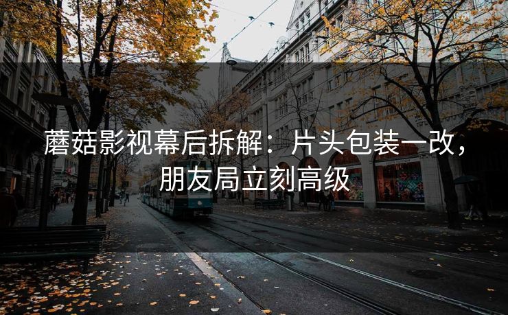 蘑菇影视幕后拆解：片头包装一改，朋友局立刻高级