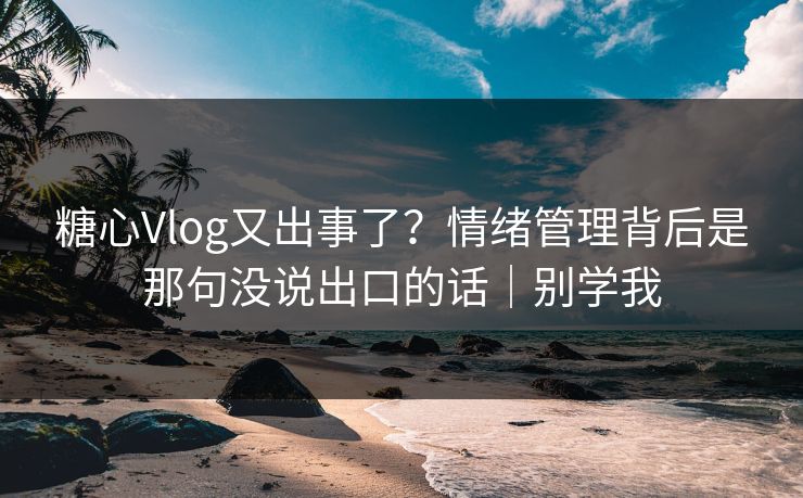 糖心Vlog又出事了？情绪管理背后是那句没说出口的话｜别学我